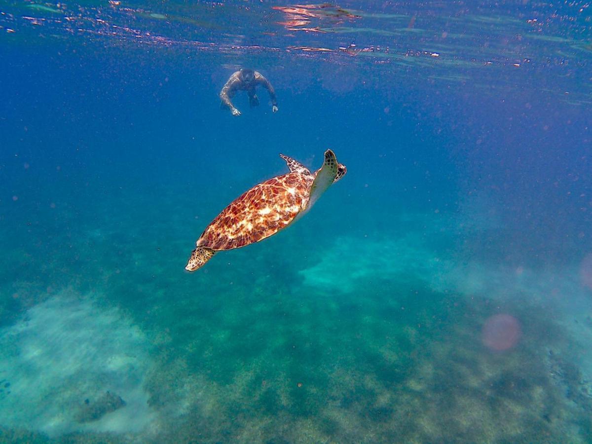 Ile Tropical Lodges Sainte-Anne  Esterno foto